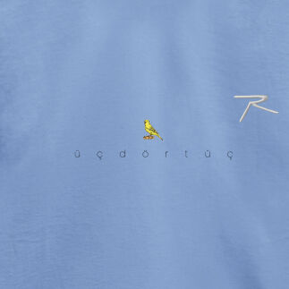 Raru x 343 DIGITAL %100 Pamuk T-Shirt AGNITIO MAVİ - R.SPQOR (1)